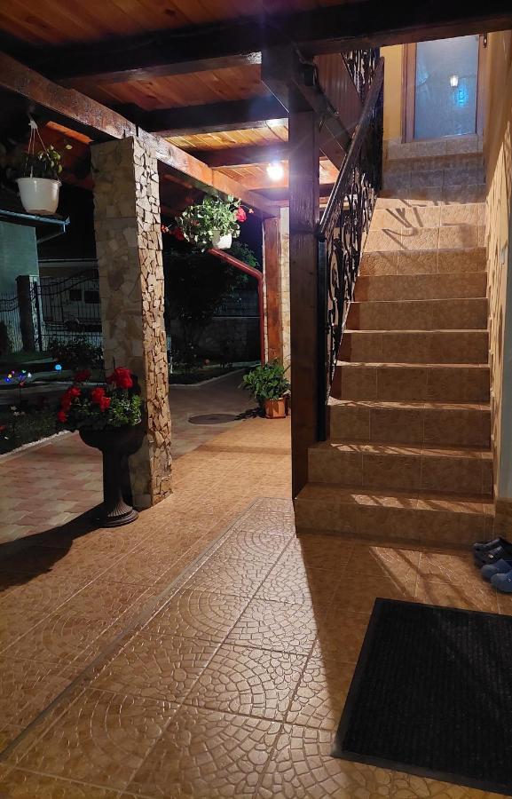 Casa Cristina Otel Cîrţişoara Dış mekan fotoğraf
