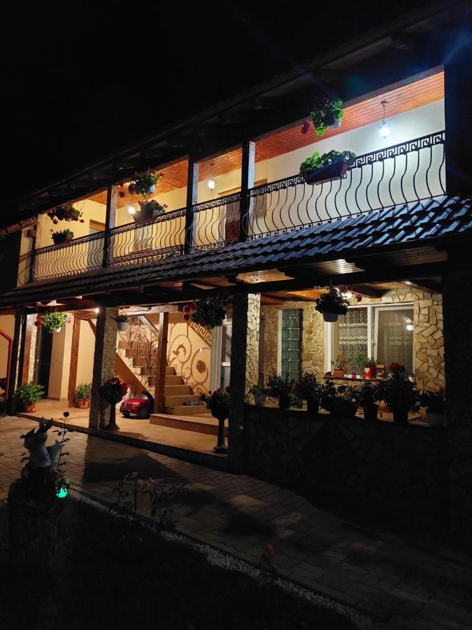 Casa Cristina Otel Cîrţişoara Dış mekan fotoğraf