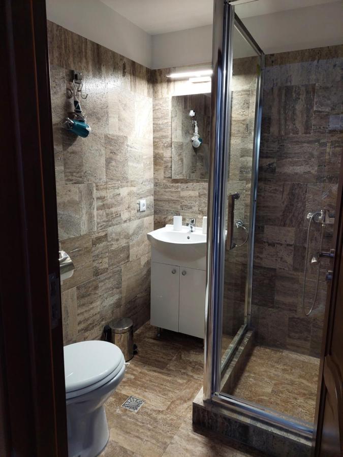 Casa Cristina Otel Cîrţişoara Dış mekan fotoğraf