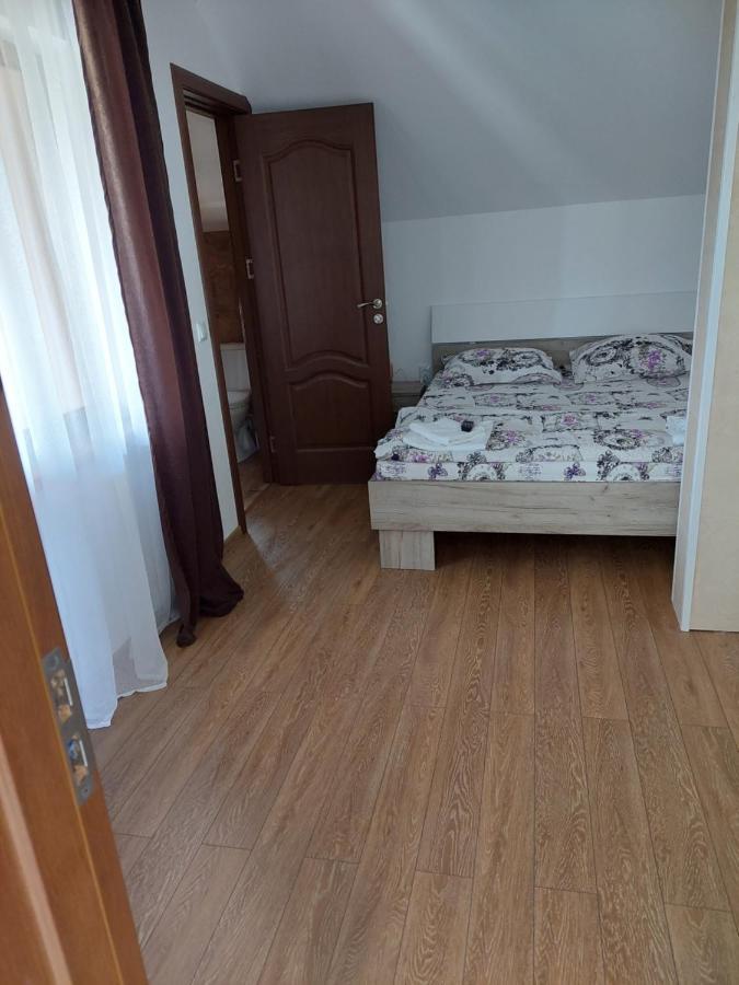 Casa Cristina Otel Cîrţişoara Dış mekan fotoğraf