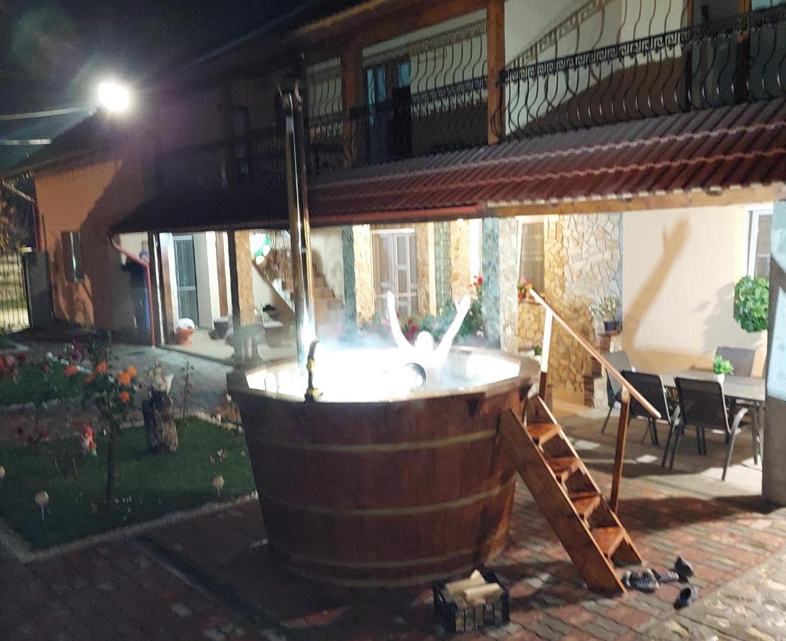 Casa Cristina Otel Cîrţişoara Dış mekan fotoğraf