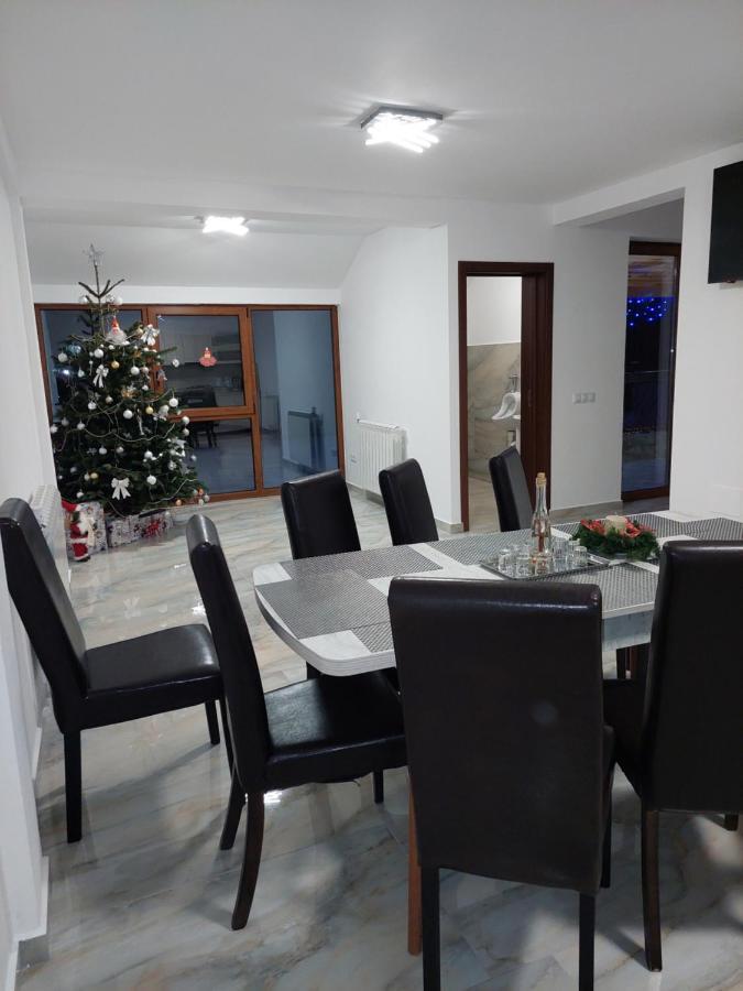 Casa Cristina Otel Cîrţişoara Dış mekan fotoğraf