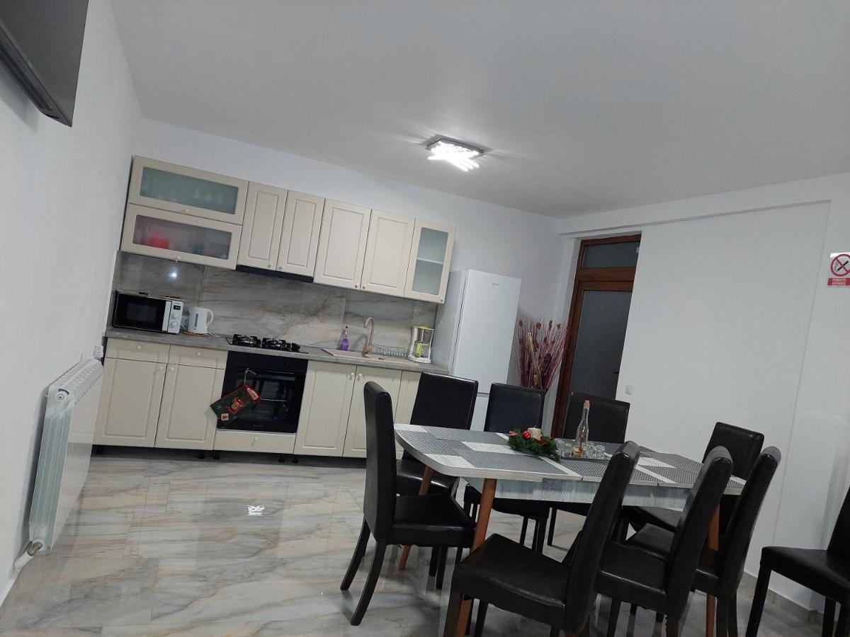 Casa Cristina Otel Cîrţişoara Dış mekan fotoğraf