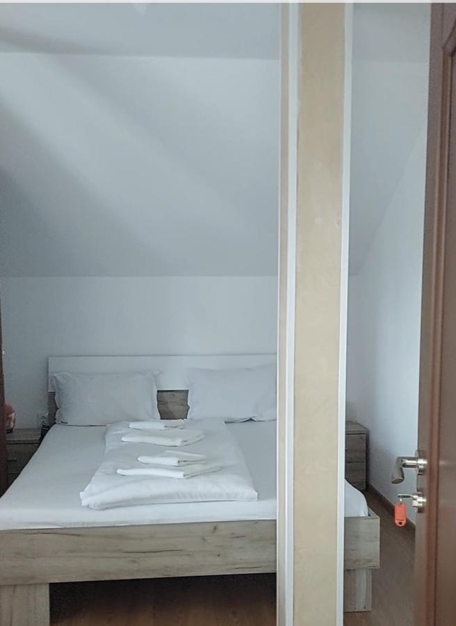 Casa Cristina Otel Cîrţişoara Dış mekan fotoğraf