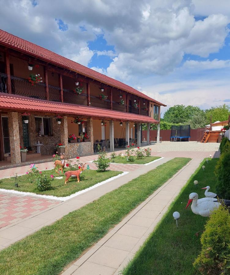 Casa Cristina Otel Cîrţişoara Dış mekan fotoğraf
