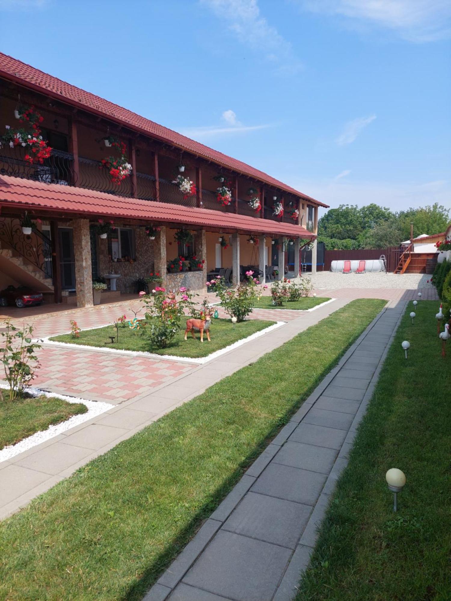 Casa Cristina Otel Cîrţişoara Dış mekan fotoğraf