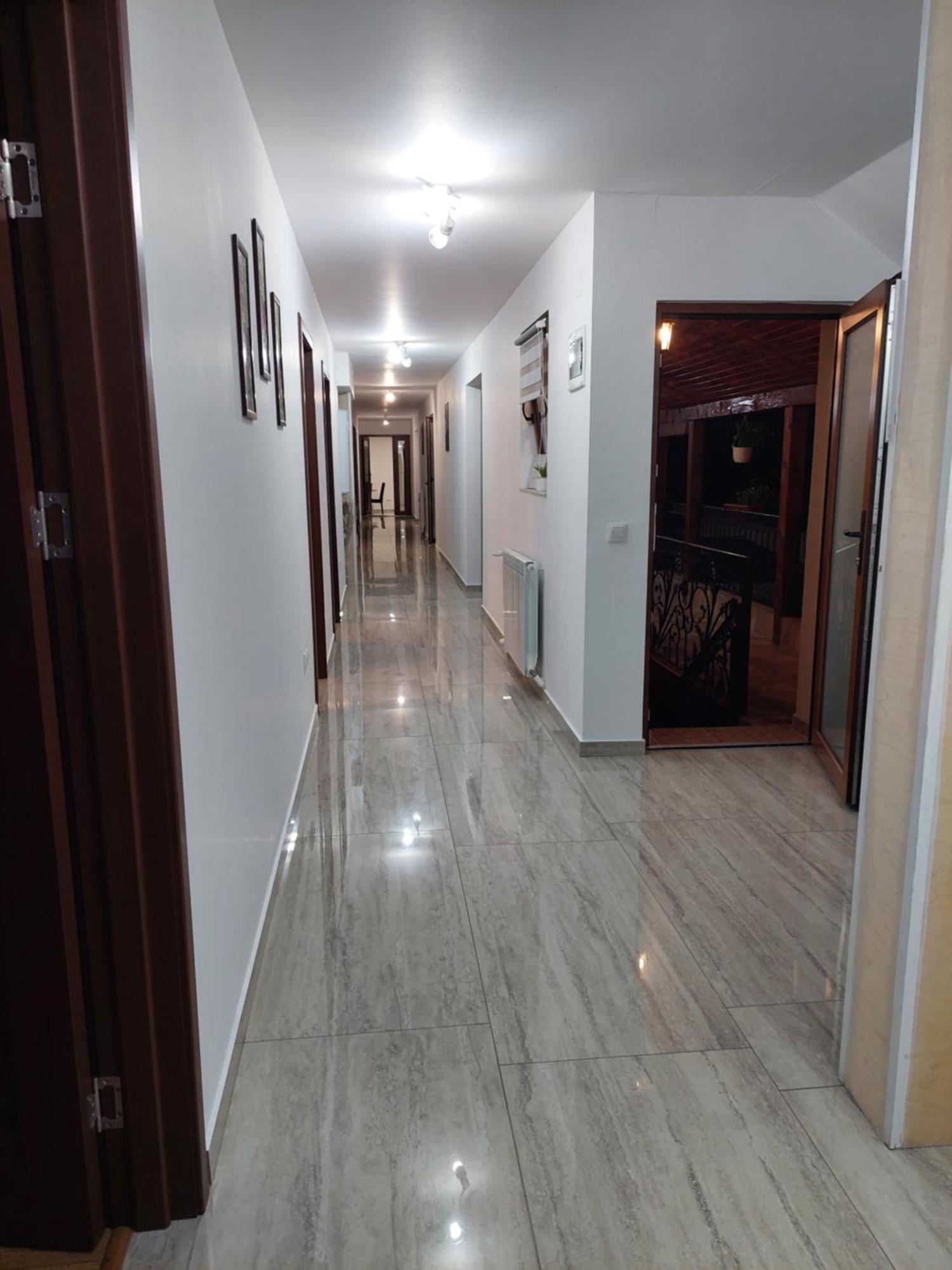 Casa Cristina Otel Cîrţişoara Dış mekan fotoğraf